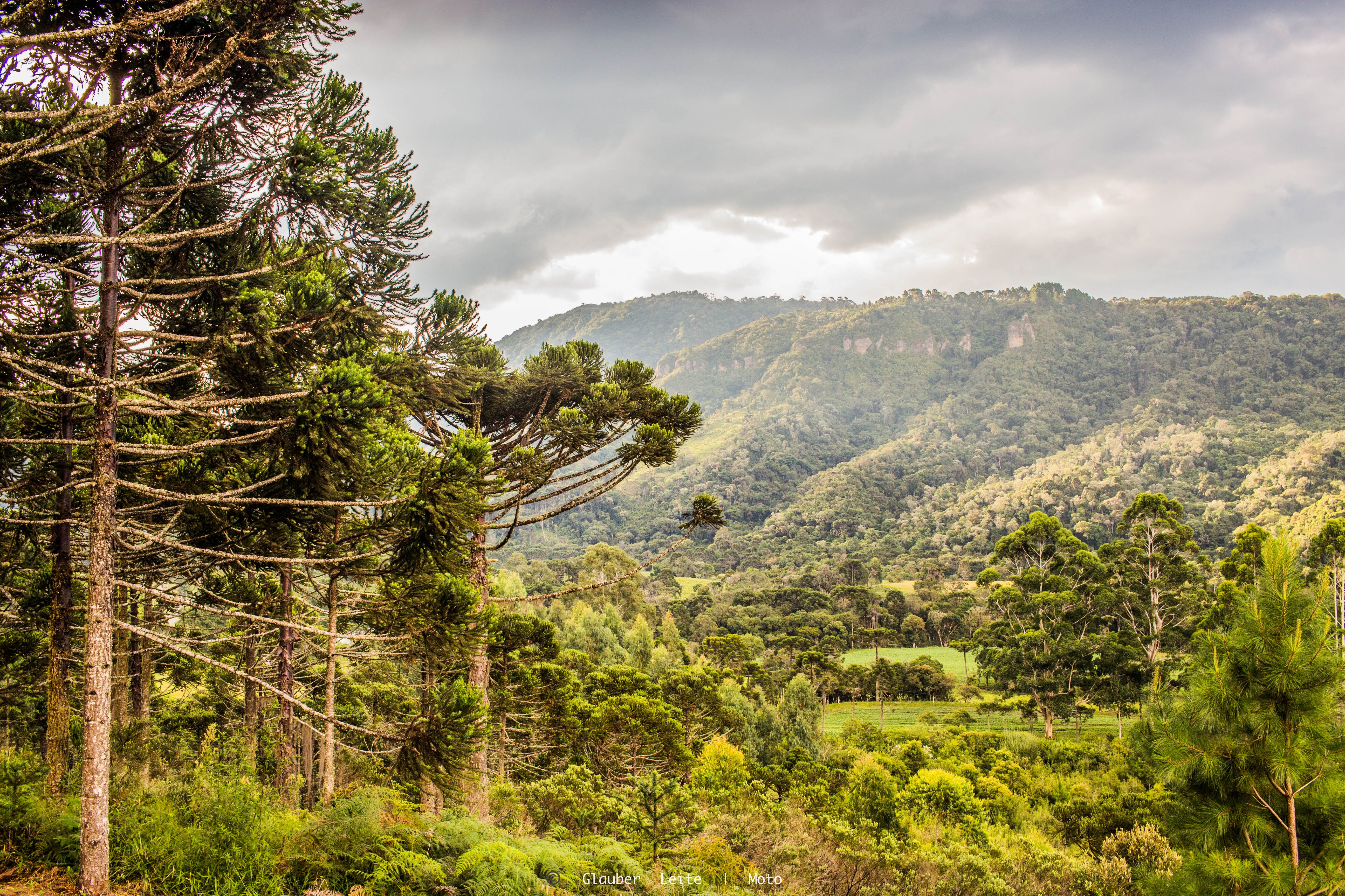 Bocaina do Sul Santa Catarina fonte: dynamic-media-cdn.tripadvisor.com Fonte: dynamic-media-cdn.tripadvisor.com